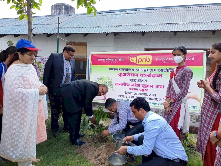 पंजाब नेशनल बैंक के सौजन्य से कन्या पाठशाला हमीरपुर में किया पौधारोपण