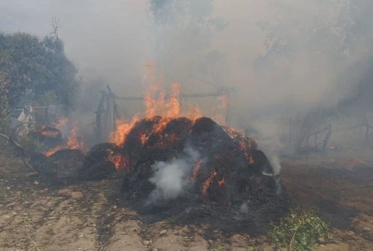 मशीन से भूसा और गेंहू अलग करते वक्त लगी आग, सारी फसल हुई खाक