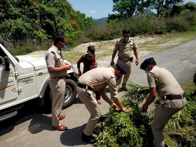 कोरोना वीर ही नहीं समाज सेवी भी है सोलन पुलिस , बुजुर्ग महिला का घास घर छोड़ आये पुलिस कर्मी