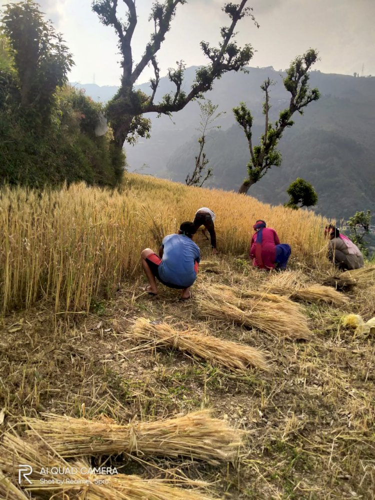 नियमों व एहतियातों की अनुपालना आवश्यक किसानों, बागवानों और पशुपालकों को ना हो कोई असुविधा : उपायुक्त 