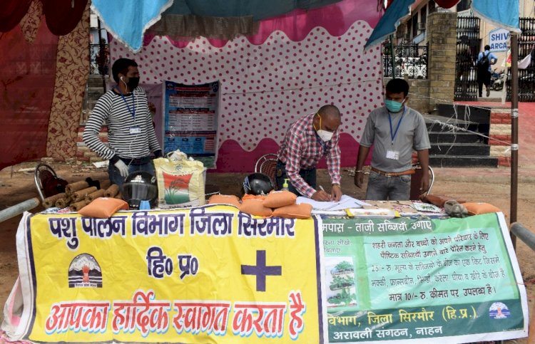 लाॅकडाउन के दौरान जैविक खेती के लिए लोगों को प्रोत्साहित करता कृषि विभाग