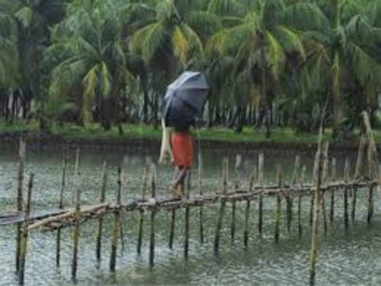 मानसून ने केरल में दी दस्तक, कोझीकोड में हुई झमाझम बारिश