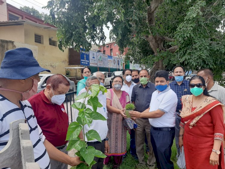 रोटरी क्लब नाहन हिल्स ने किया पौधा रोपण 