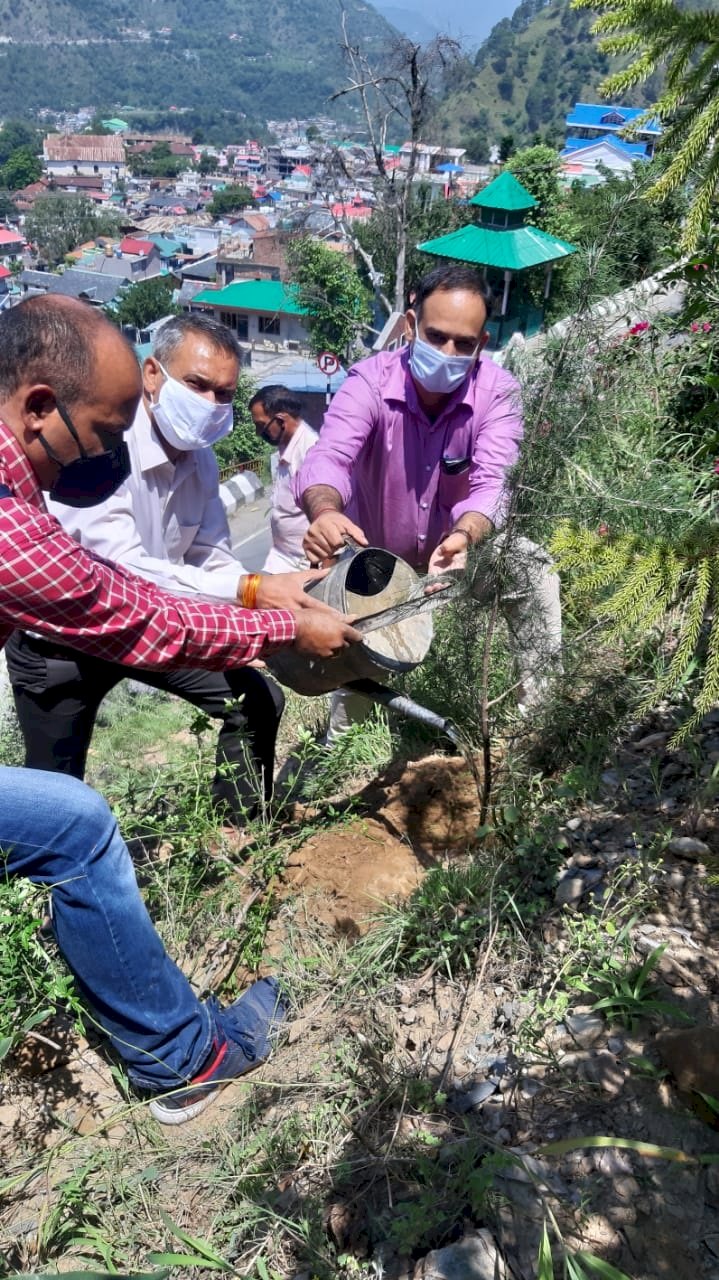 चामुंडा मंदिर के आसपास होगी हरियाली, जिला एवं सत्र न्यायाधीश राजेश तोमर ने भी किया पौधारोपण