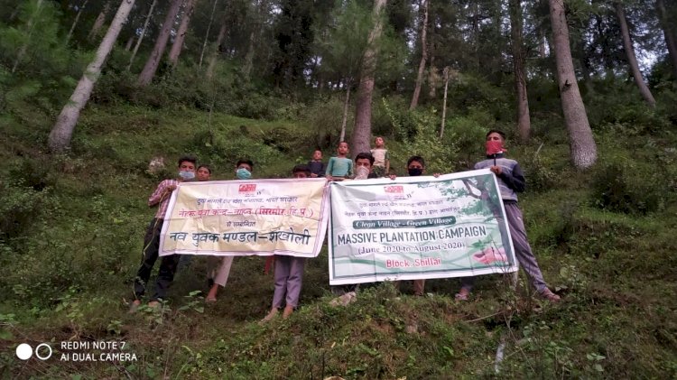 पर्यावरण संरक्षण को आगे आया युवा क्लब शंखोली खाली भूमी पर रोप 250 देवदार के पौधे