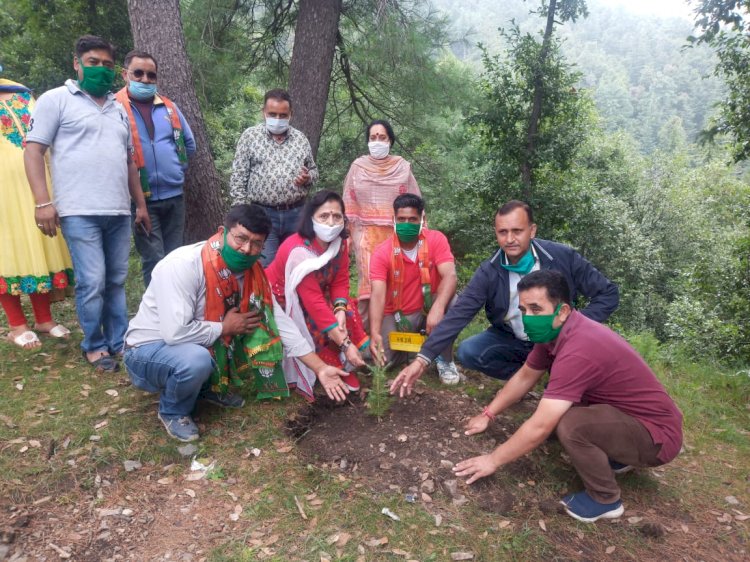 पर्यावरण को संतुलित बनाए रखने में पेड़ पौधों का अमूल्य योगदान : रूपा शर्मा