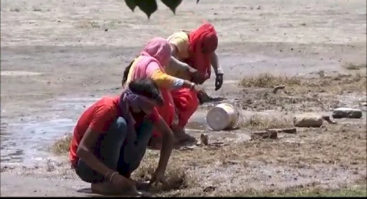 ऐतिहासिक चौगान मैदान का सौन्दर्यकरण लगाई जा रही विशेष किस्म की घास : अजमेर सिंह