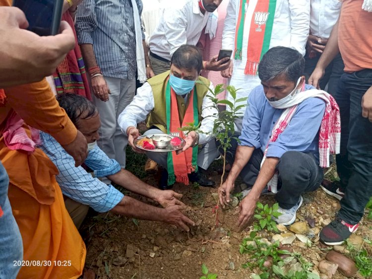 पर्यावरण एवं वन संरक्षण के लिए वृक्षारोपण से करें प्रकृति वंदन : सुरेश कश्यप