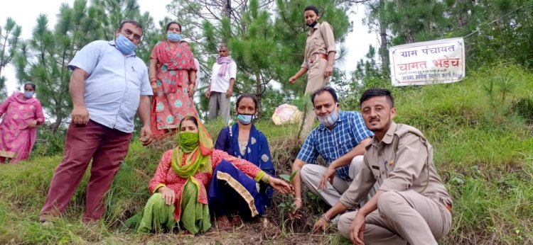 जिला विधिक सेवाएं प्राधिकरण ने पौधरोपण कार्यक्रम किया आयोजित