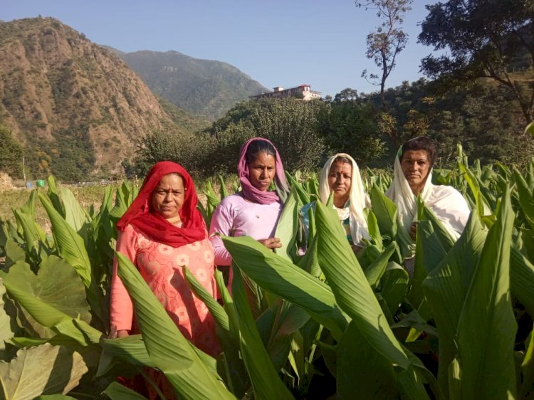 पलाशला गांव की महिलाओं के लिए वरदान बना स्वयं सहायता समूह , आर्थिक सशक्तिकरण की ओर अग्रसर