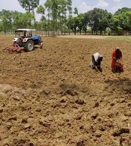 बारिश के लिए करना पड़ेगा इंतज़ार , रबी की फसल सूखे की चपेट में 