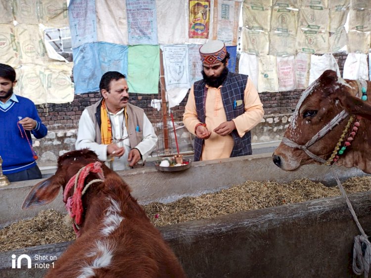 बसंत पंचमी पर श्री सत्यानंद गोधाम में सरस्वती एवं गौमाता का विधिवत पूजन