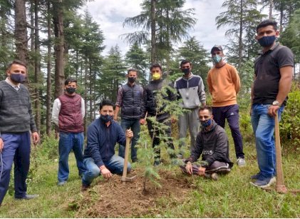 पर्यावरण दिवस पर शिलाई युवा कांग्रेस ने गिरनल में किया पौधारोपण 