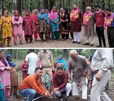 नवयुवक मंडल ने धामोण के जंगल में किया पौधा रोपण