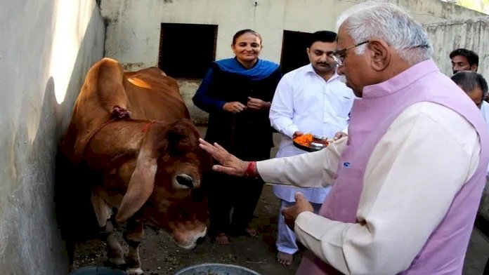 गौरक्षा के लिए हरियाणा के हर जिले में बनेगी 11 सदस्यीय टास्क फ़ोर्स 