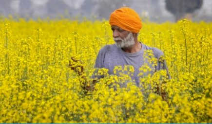 केंद्र का किसानों को तोहफा, फसलों के न्यूनतम समर्थन मूल्य 400 रुपए तक बढ़ोतरी 