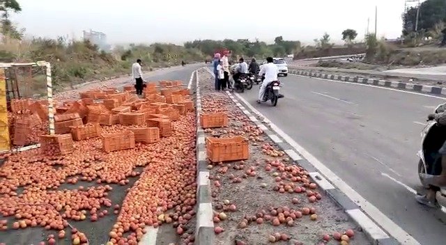 चंडीगढ़-मनाली हाई-वे पर पलटी टमाटर से भरी गाड़ी, ड्राइवर-कंडक्टर घायल 