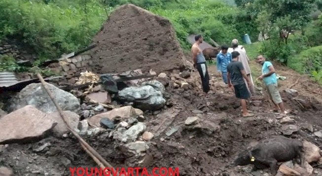 गौशाला ढहने से अंदर बंधी 15 बकरियां व 3 गायों की दबकर मौत