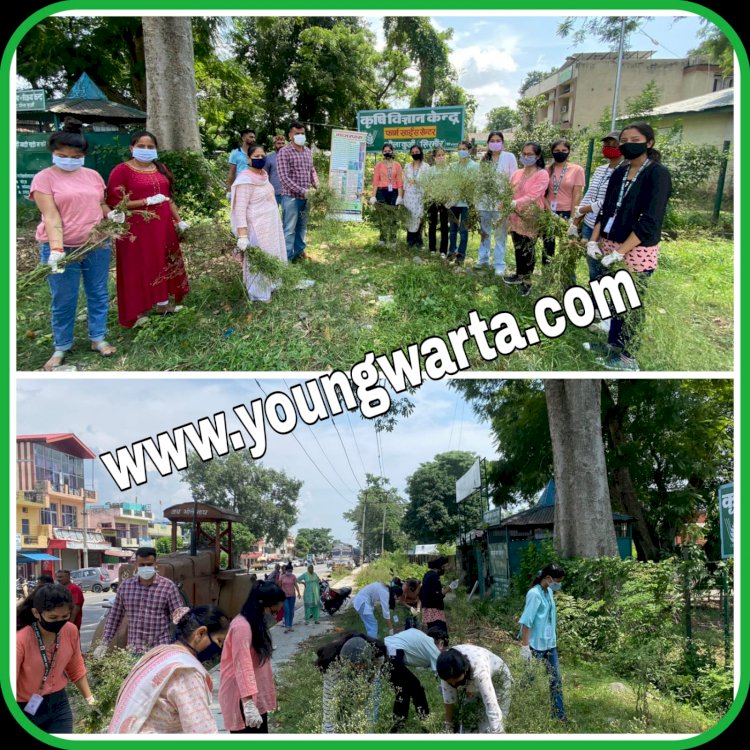 कैसे करें खरपतवार और गाजर घास का नाश , कृषि विज्ञान वैज्ञानिकों ने किसानों को किया जागरूक 