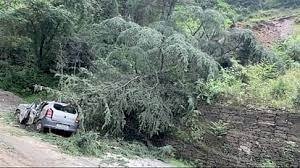 दर्दनाक हादसा : चलती कार पर गिरा देवदार का पेड़, एक व्यक्ति की मौत, एक घायल