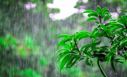 हिमाचल प्रदेश में 25 जुलाई तक भारी बारिश का अलर्ट जारी 